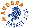 https://img.5unba.com/img/basketball/team/a77950f390405e3042f9691c09d63251.gif