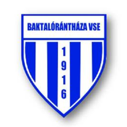 https://img.5unba.com/img/football/team/39116c5e21ca7e32093bbd34845eddf3.png